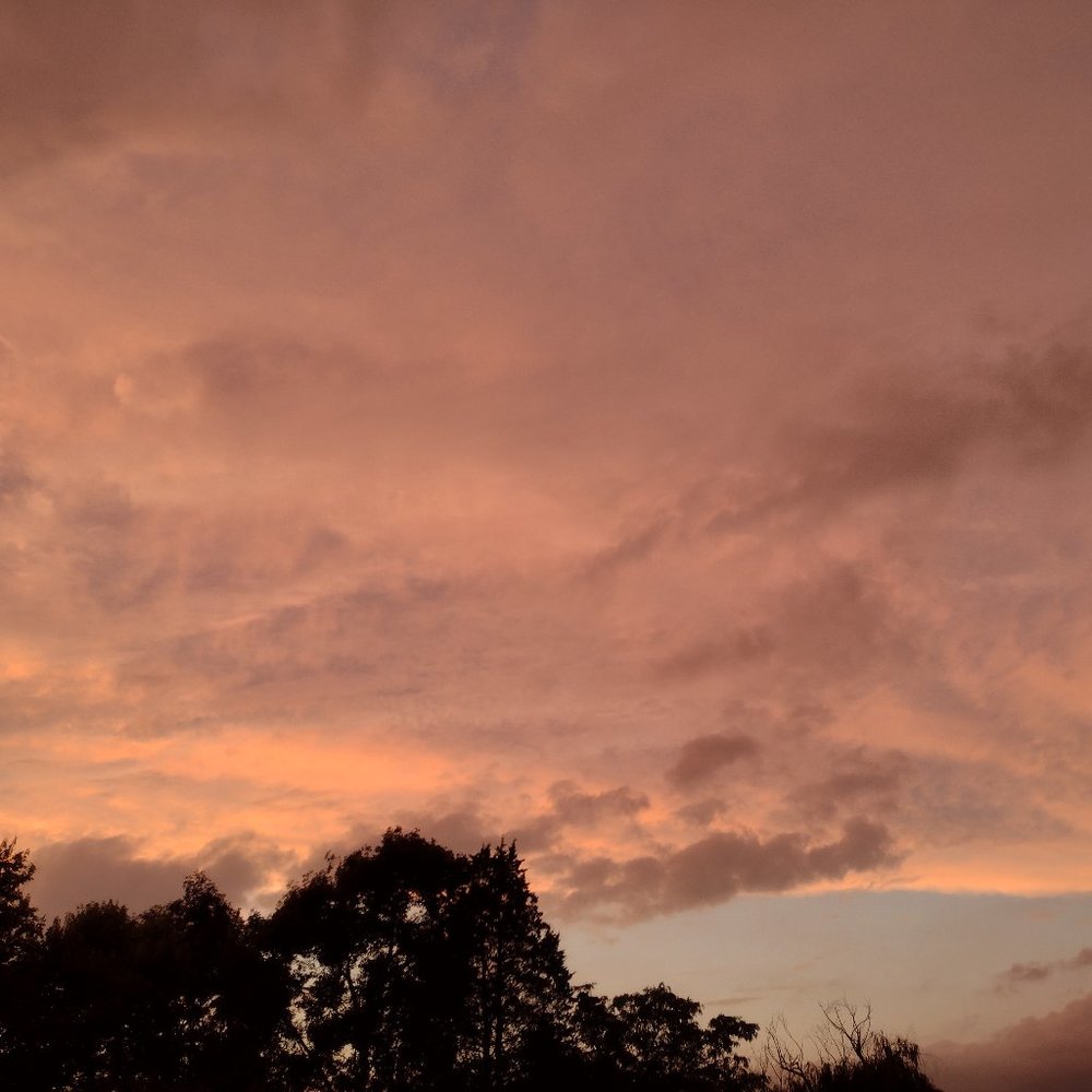 Meet your Posher, Nina